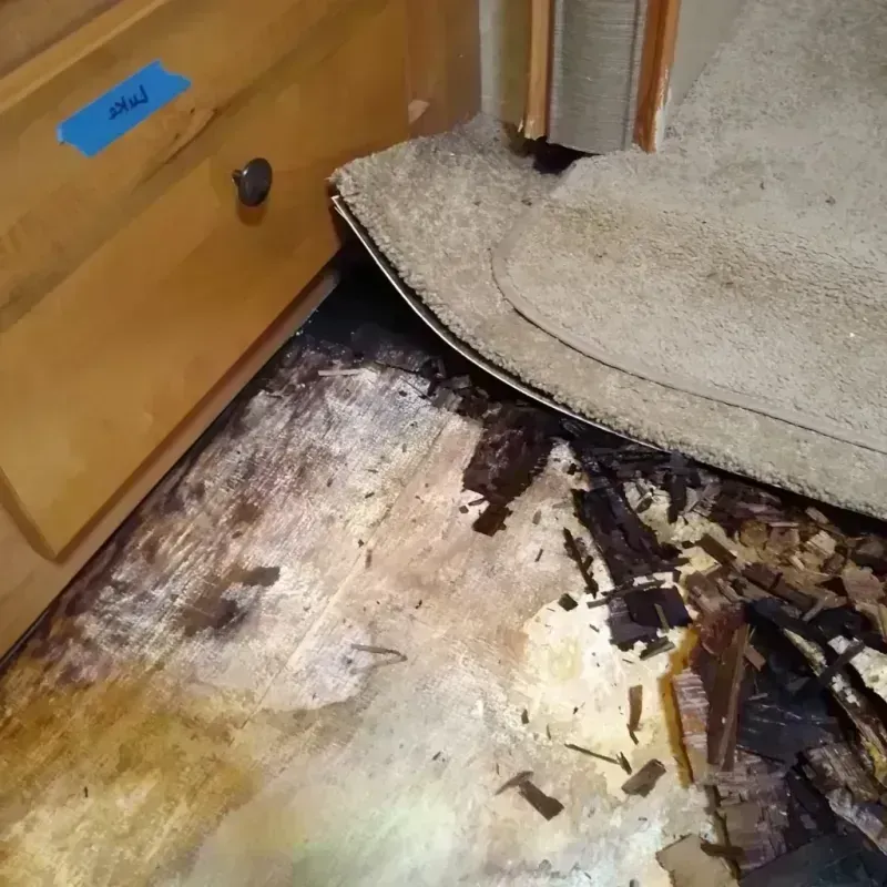 Wood Floor Water Damage in Keller, TX